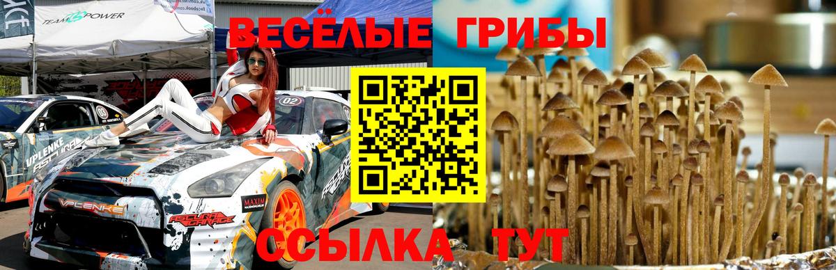 Галлюциногенные грибы GOLDEN TEACHER  Вход с VPN  Артём 
