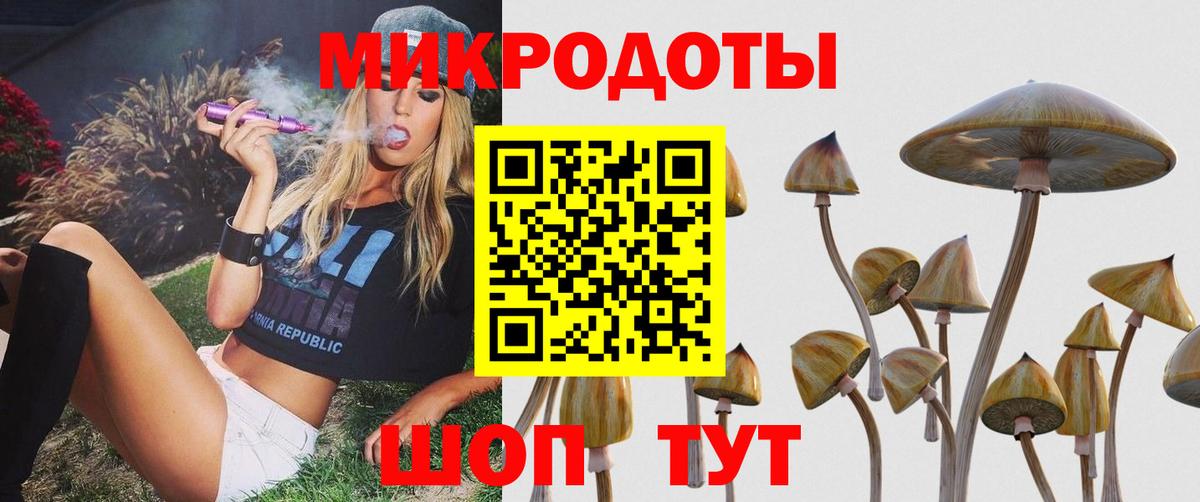 Псилоцибиновые грибы мицелий Артём